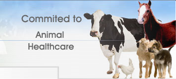 DHK animal healthcare