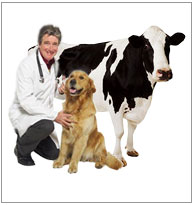 DHKI-animal healthcare
